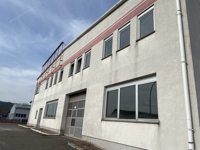 Mittel IMG 2135
